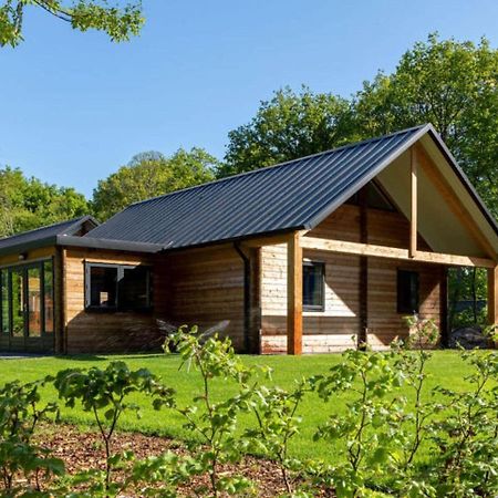 Cosy Wooden House Amid Woods In Soesterberg Utrecht Bagian luar foto